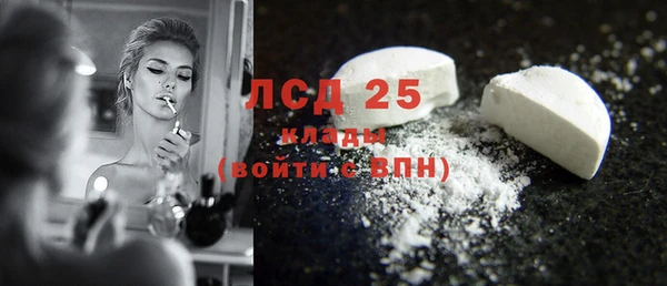 стафф Аркадак