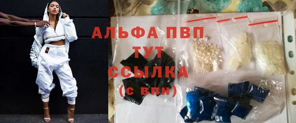 стафф Аркадак