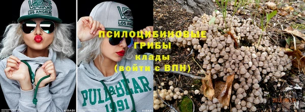 прущие крисы Арсеньев