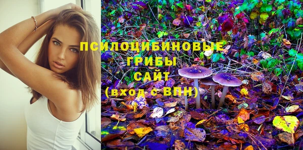 стафф Аркадак