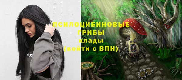 прущие крисы Арсеньев