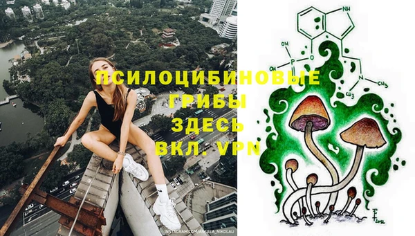 прущие крисы Арсеньев