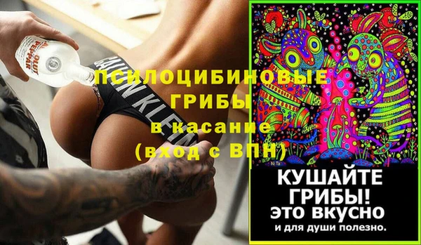 стафф Аркадак