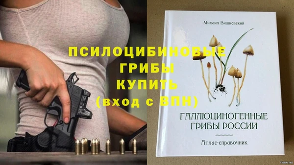 стафф Аркадак